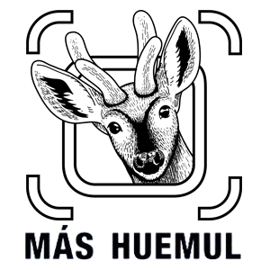 logo mas huemul